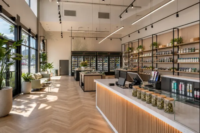 How to Choose a Weed Delivery Service in San Diego